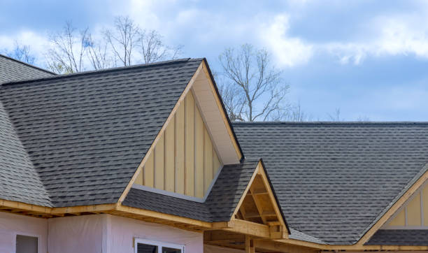 Best Roof Insulation Installation  in Chesterfield, IN